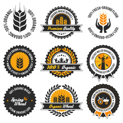 organic wheat label set with modern, vintage elements - 61947643