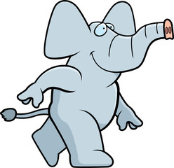 Elephant Walking