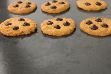 homemade chocolate chip cookies