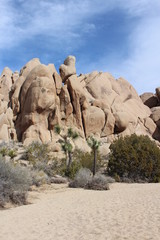 Joshua Tree National Park Dry Stream Landscape