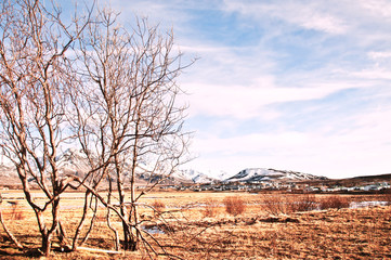 Naklejka premium Autumn Icelandic landscape