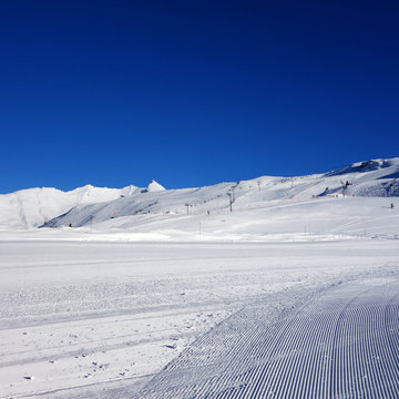 Bleu Neige