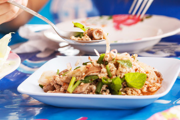 Spicy Minced Pork Salad Thai Food