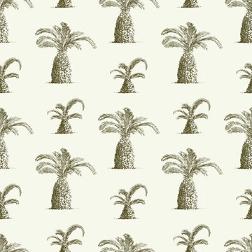 pattern of palms