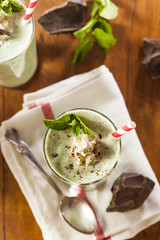 Cold Refreshing Mint Chocolate Chip MilkShake