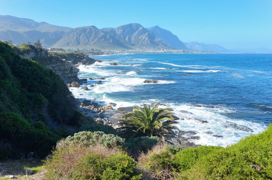 Beautiful ocean and coast landscape in Hermanus, South Africa
