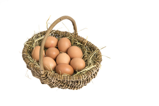 Ostern, Eier im Korb, Nest
