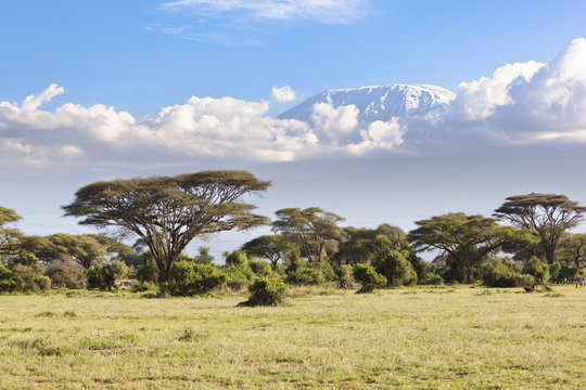 Kilimanjaro with snow cap