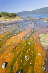 Algae at Lake Bogoria, Kenya