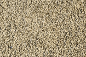 Sand bunker - 61956625