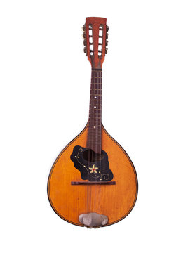 Lute on white