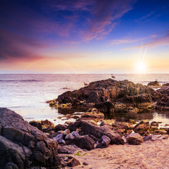 Fototapeta na wymiar seagulls sit on big boulders near the sea watching sunset