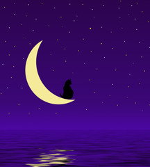 Obraz na płótnie Canvas cat in the moon night