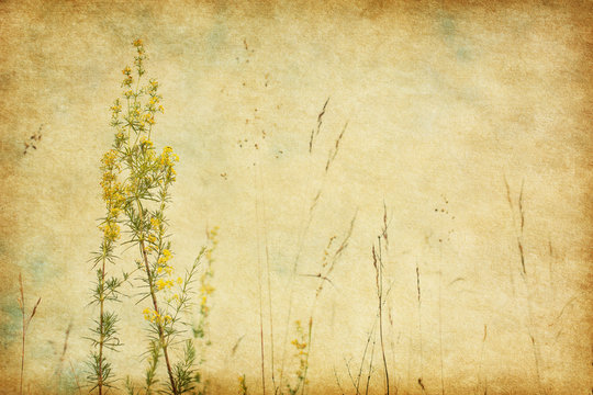 Grunge image with blooming wildflowers on sky background .