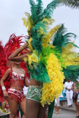 Carnaval 2014 - Parade du Littoral