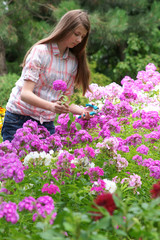 Girl cuts flowers in the garden