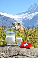 Swiss cow and milk