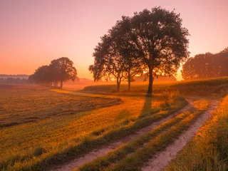 Foto op Aluminium Orange and Pink Sunrise over Rural Landscape near Nijmegen © creativenature.nl