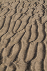 Ripples in the sand