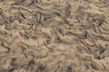 Ripples in the sand