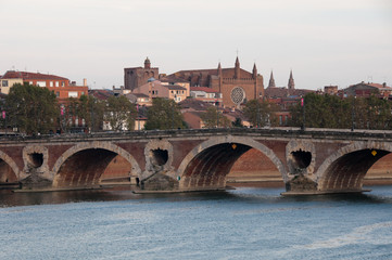Fototapeta na wymiar The Pont Neuf in Toulouse (France)