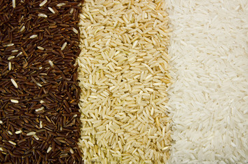 Background three rice varieties