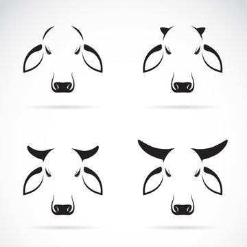 Vector group of cow