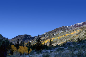 Autumn Aspen Trees and Mountains