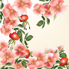 Beautiful  vector background with wild  roses