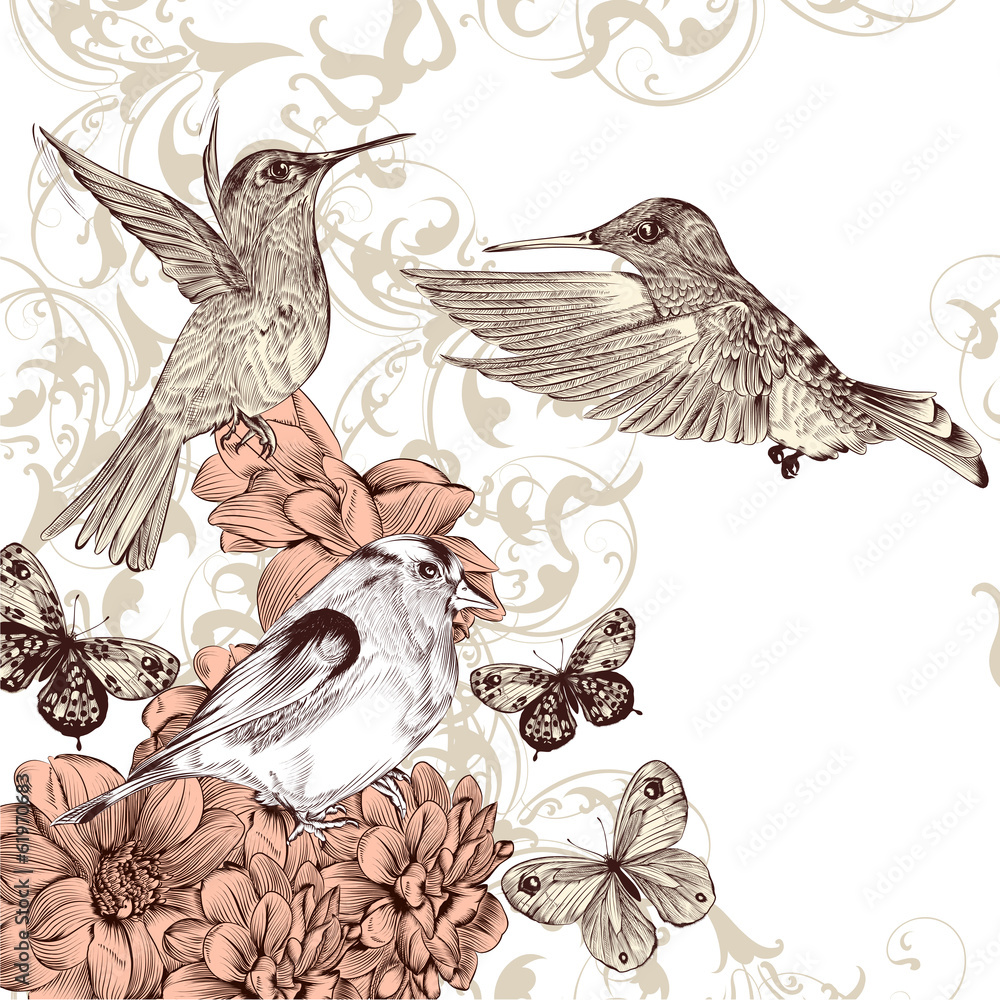 Poster vector background with birds and butterflies