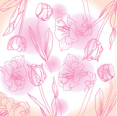 Pink and white  background with peony. Vector illustration