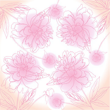 Pink Background with peony. Vector illustration