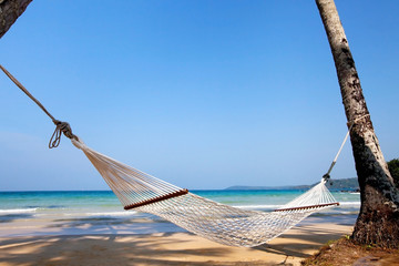 vacations, hammock on paradise beach