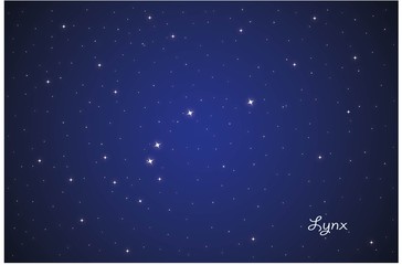 Fototapeta na wymiar Constellation Lynx
