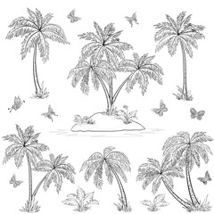 Tropical island, palms and butterflies outline
