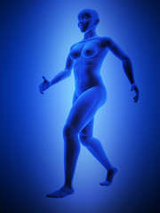 Fototapeta na wymiar female human body