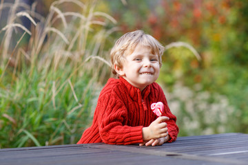 Funny little preschool boy sitting on a wall in late summer even