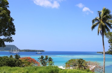 Baie de Fatumaru, Efaté, Vanuatu - obrazy, fototapety, plakaty