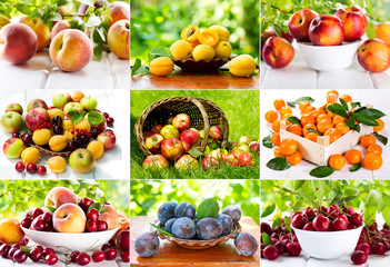 collage of various fruits and berries