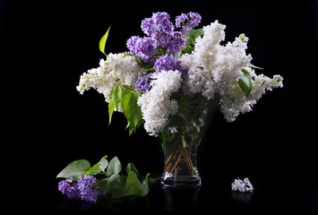 purple and white lilac in glass vase