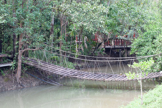 rope bridge  across river