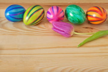 Colorful easter eggs and purple tulip. 
