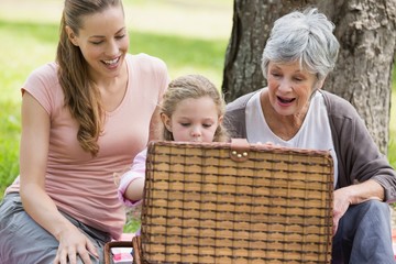 Grandmother mother and daughter with picnic basket at park