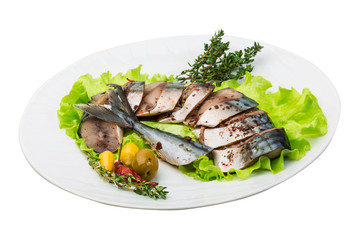 Mackerels