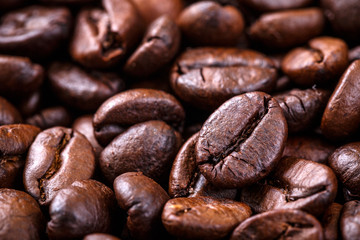 coffee seed