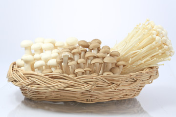 needle mushrooms and shimeji mushrooms on white background