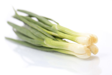 Green Onion on white background