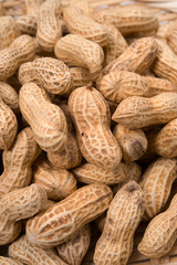 落花生-Arachis hypogaea