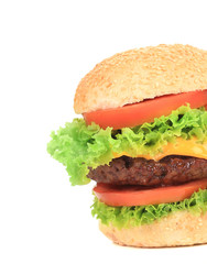 Appetizing fast food hamburger.