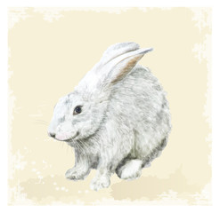 Vintage Easter  greeting card with bunny.  Watercolor style.